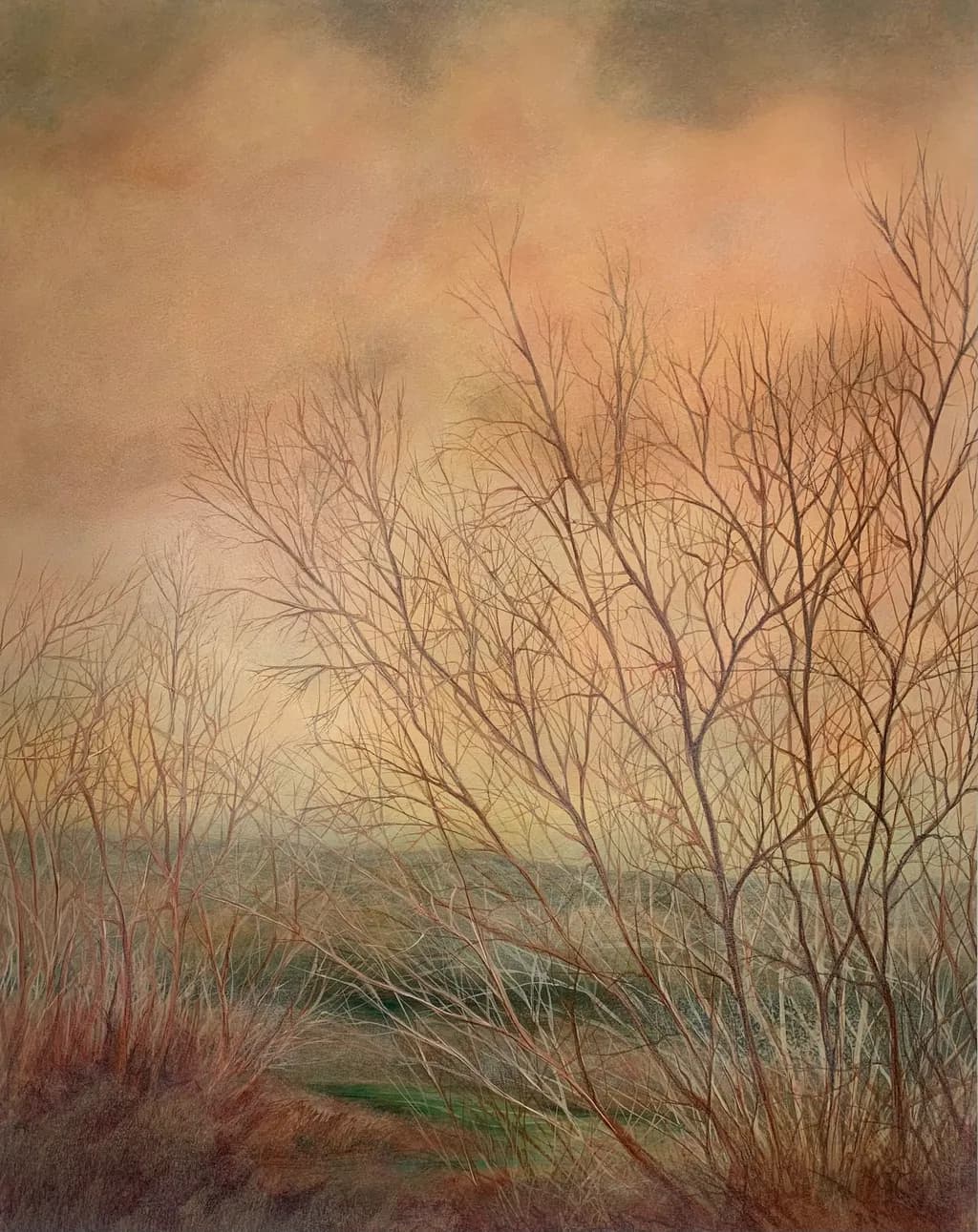 Whispers of Autumn: A Serene Landscape of Bare Trees and Soft Skies