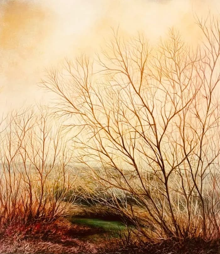 Whispers of Winter: A Serene Landscape of Bare Branches and Soft Hues