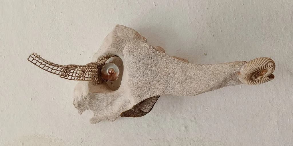 Horned Relic Grazing