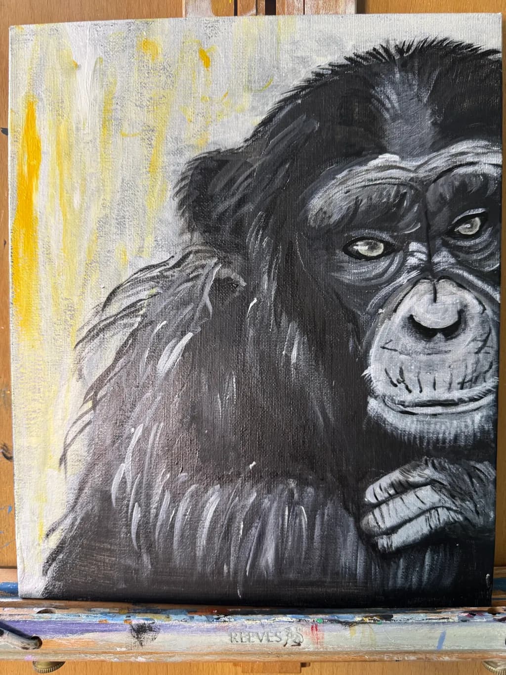 Majestic Gaze: A Monochrome Portrait of a Thoughtful Primate