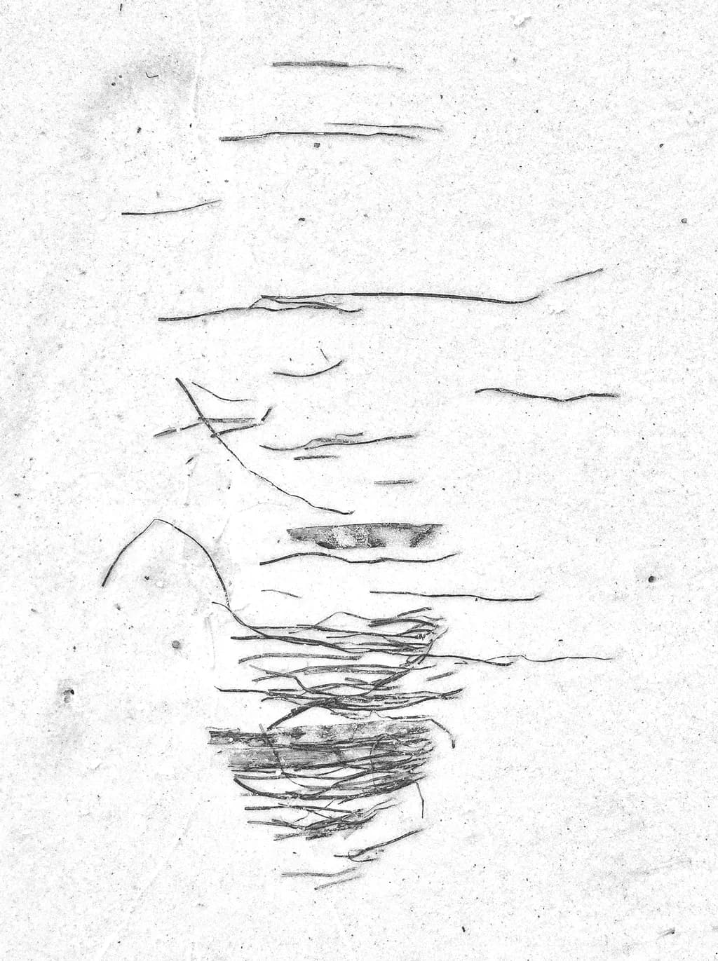 Low Tide Script