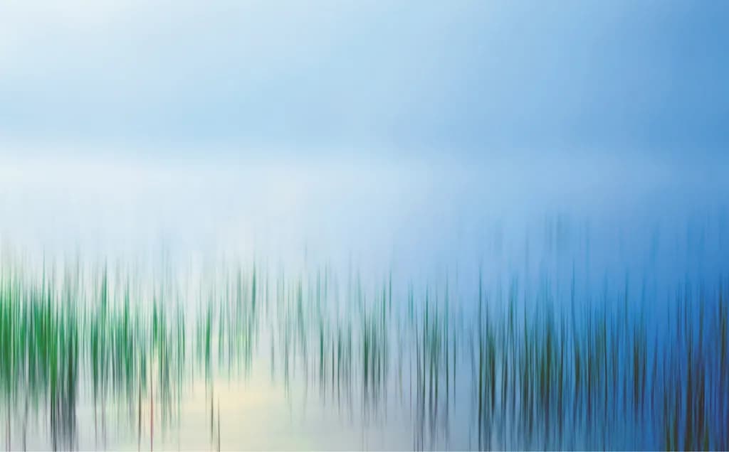 Ethereal Echoes: A Dance of Color and Form in the Misty Horizon