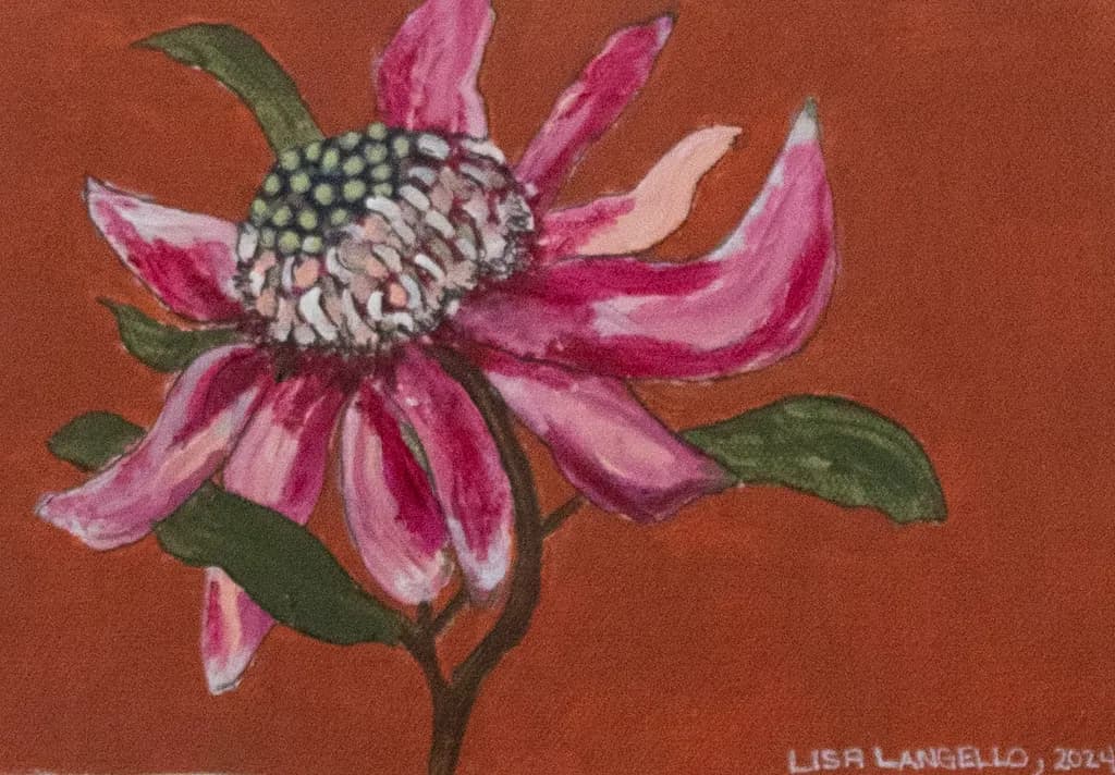 Vibrant Blossom: A Celebration of Nature's Colors in Bloom