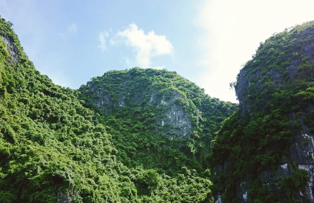 Whispers of the Green Peaks: A Scenic Journey Through Nature's Majesty