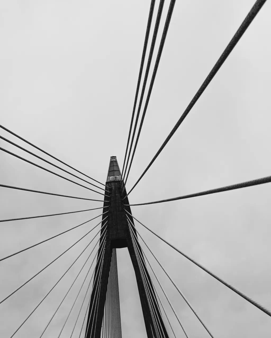 Suspension Lines