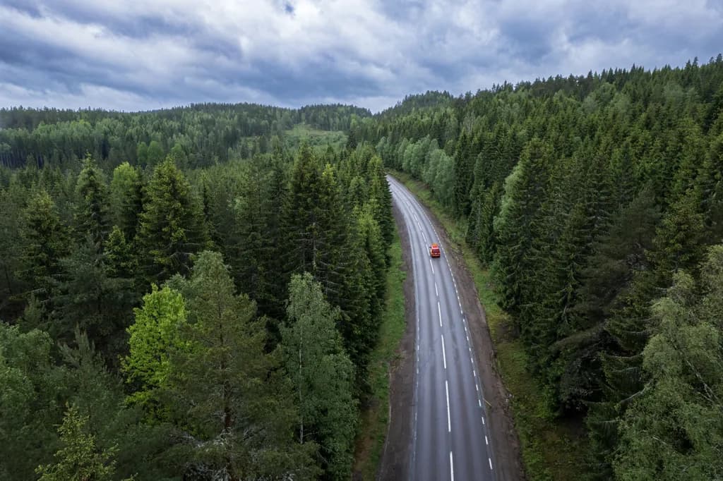 Forest Road Adventure