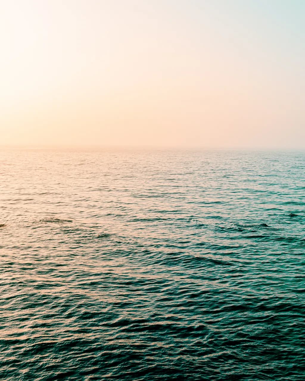 Ocean Horizon