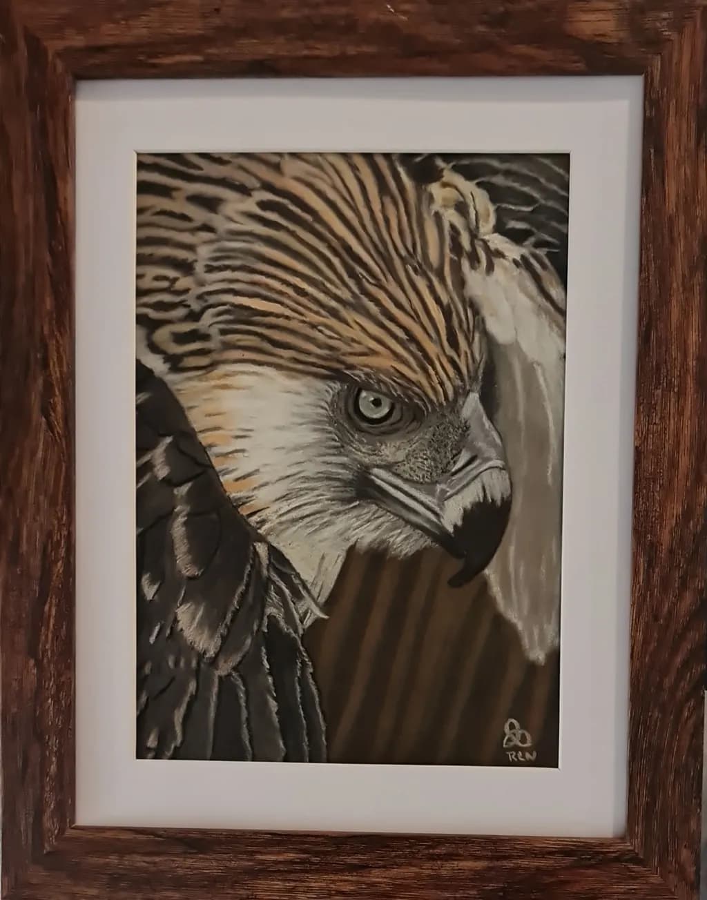 Golden Eagle Portrait