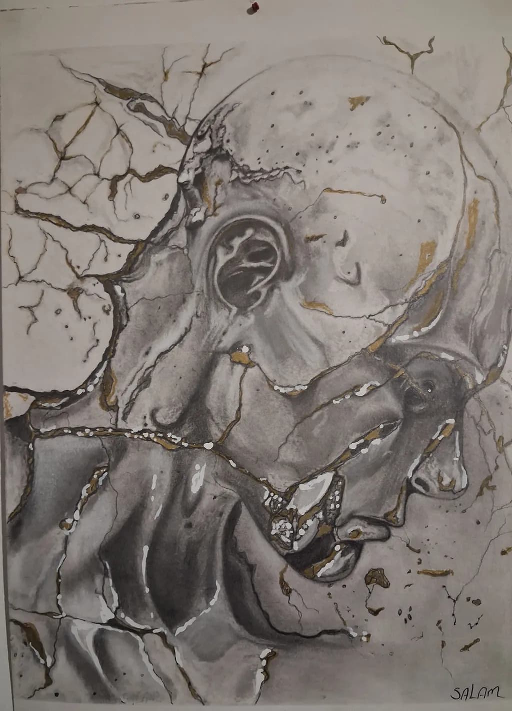 Fractured Reverie