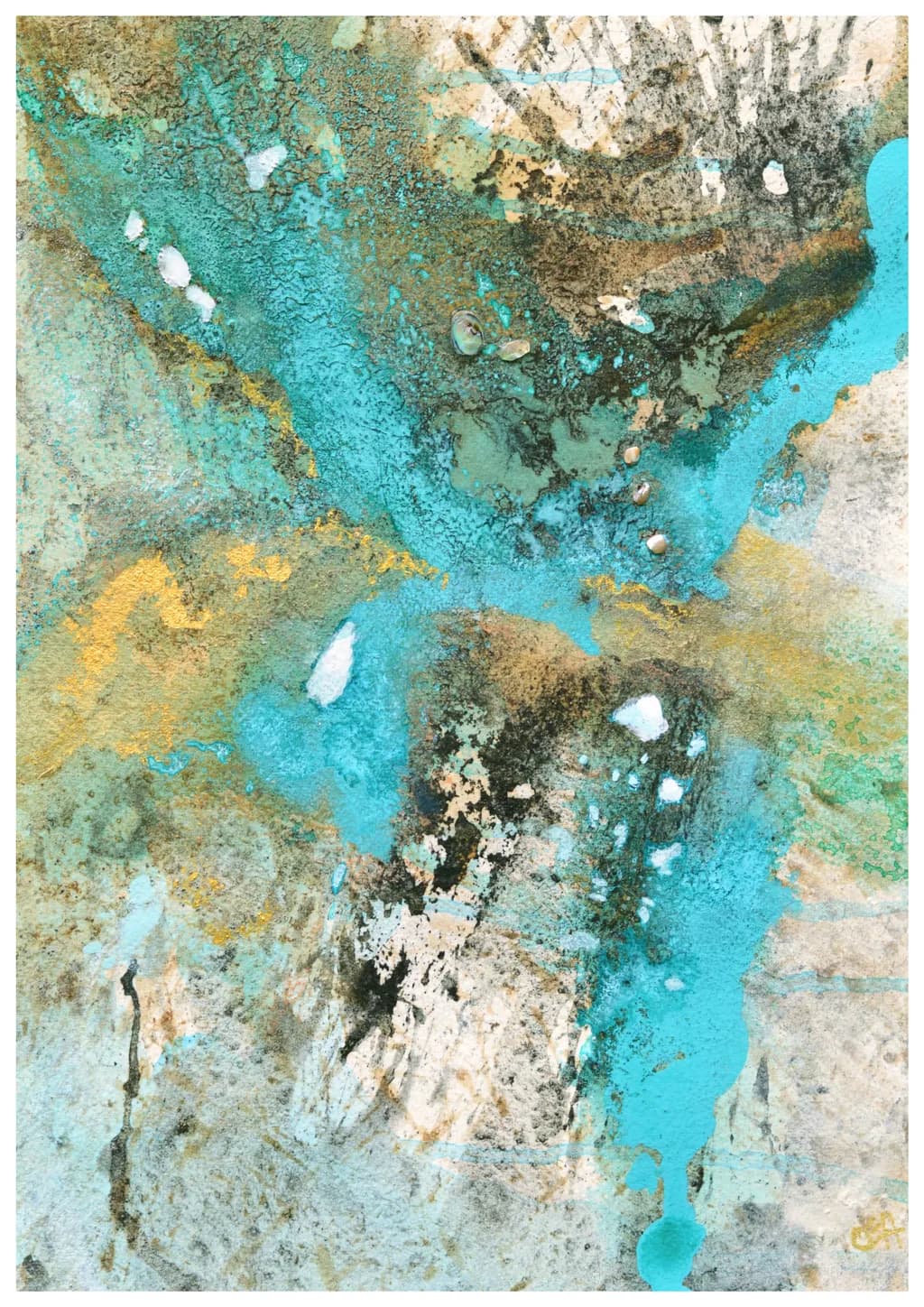 Secrets of the Tidal Pools 2