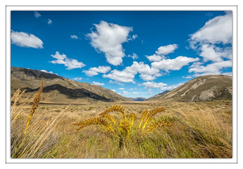 Mountain Valley Landscape