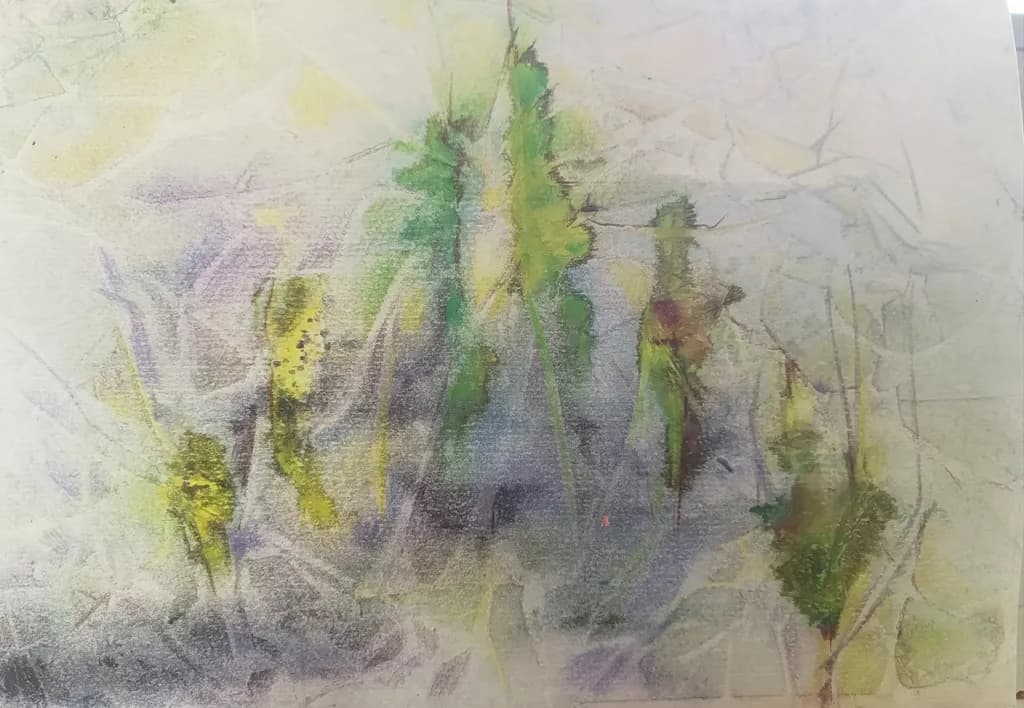 Misty Forest Shadows