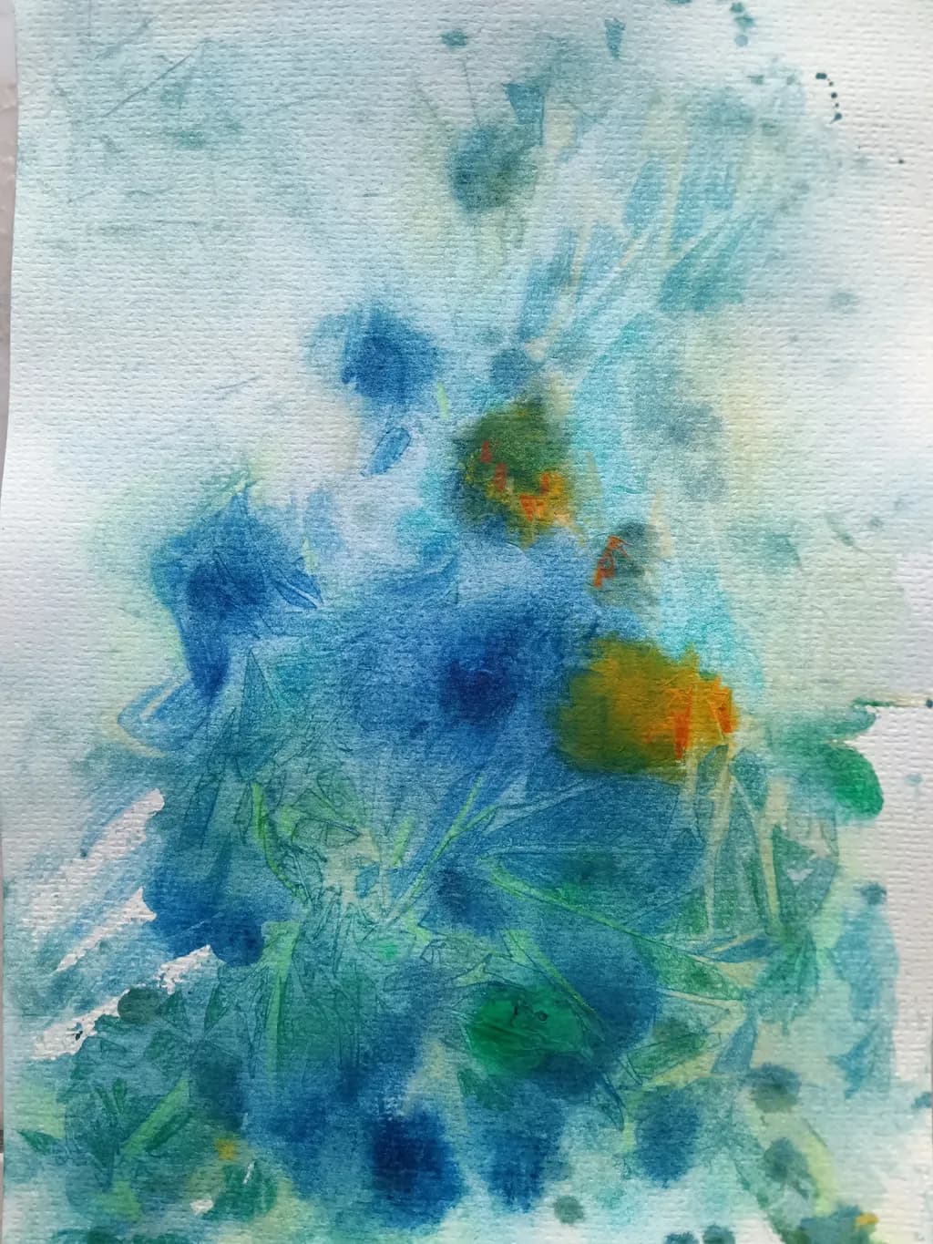 petals in the mist