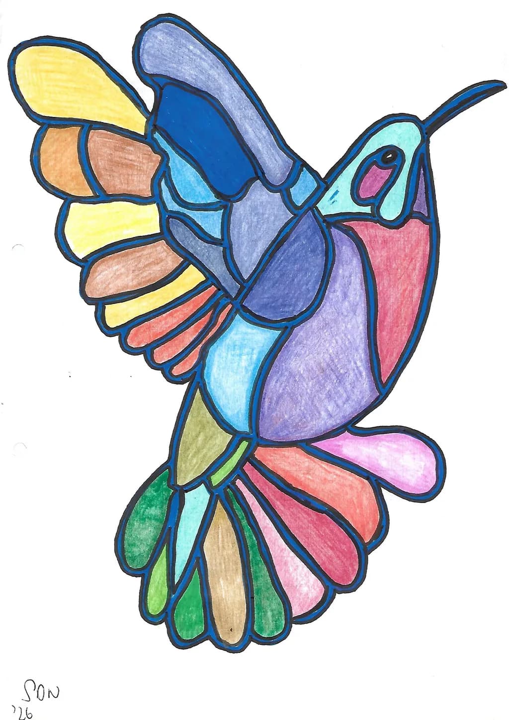 Colorful Hummingbird