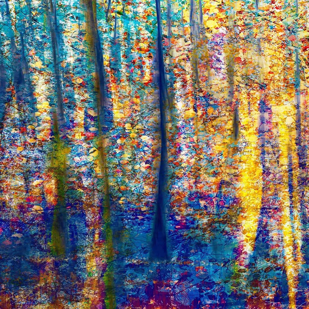 Whispers of Autumn: A Vibrant Dance of Color and Light in the Forest