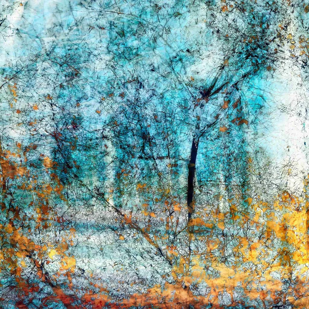 Whispers of Autumn: A Dance of Color and Light in Nature's Embrace