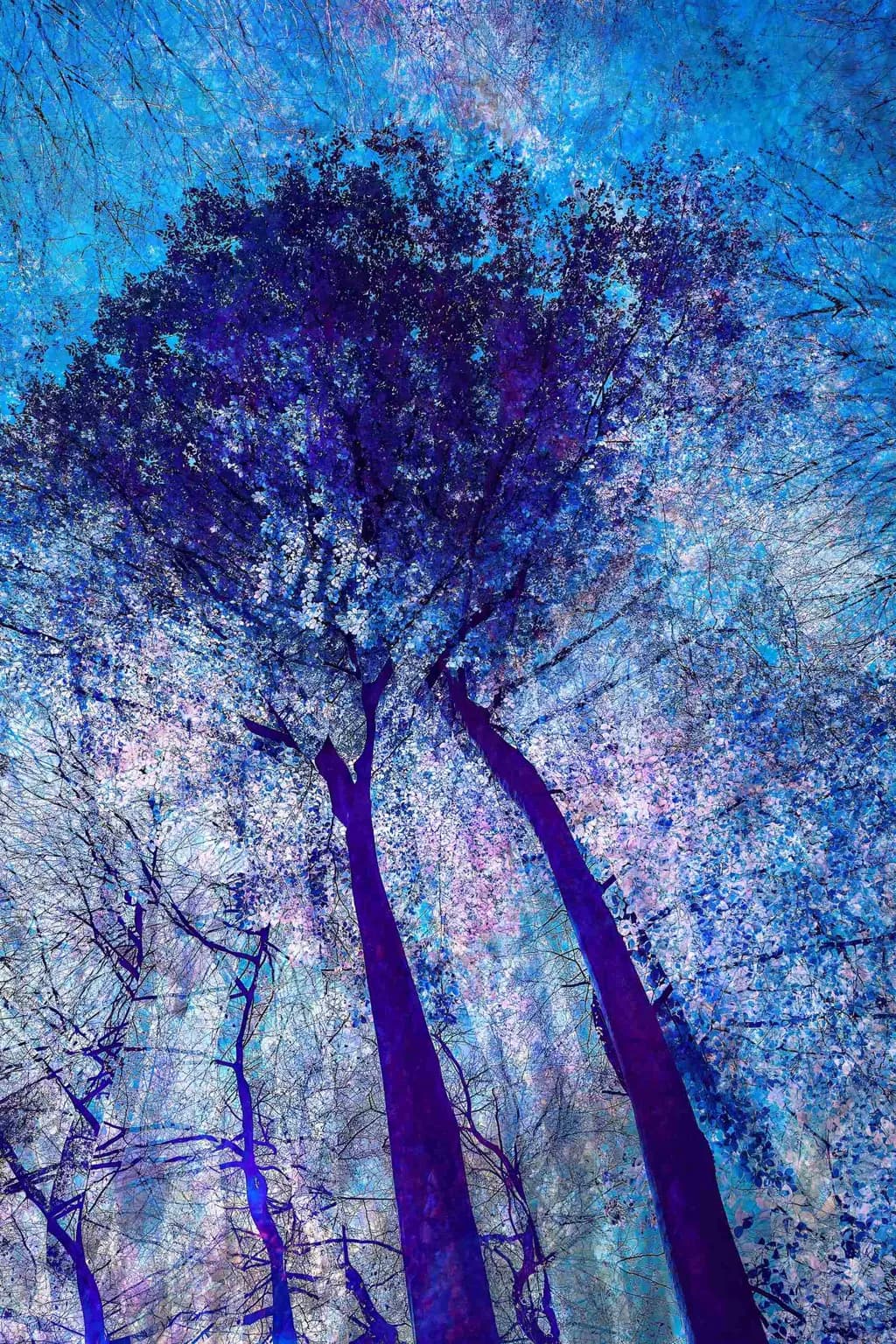 Whispers of the Blue Canopy: A Dreamlike Journey Through Nature's Embrace