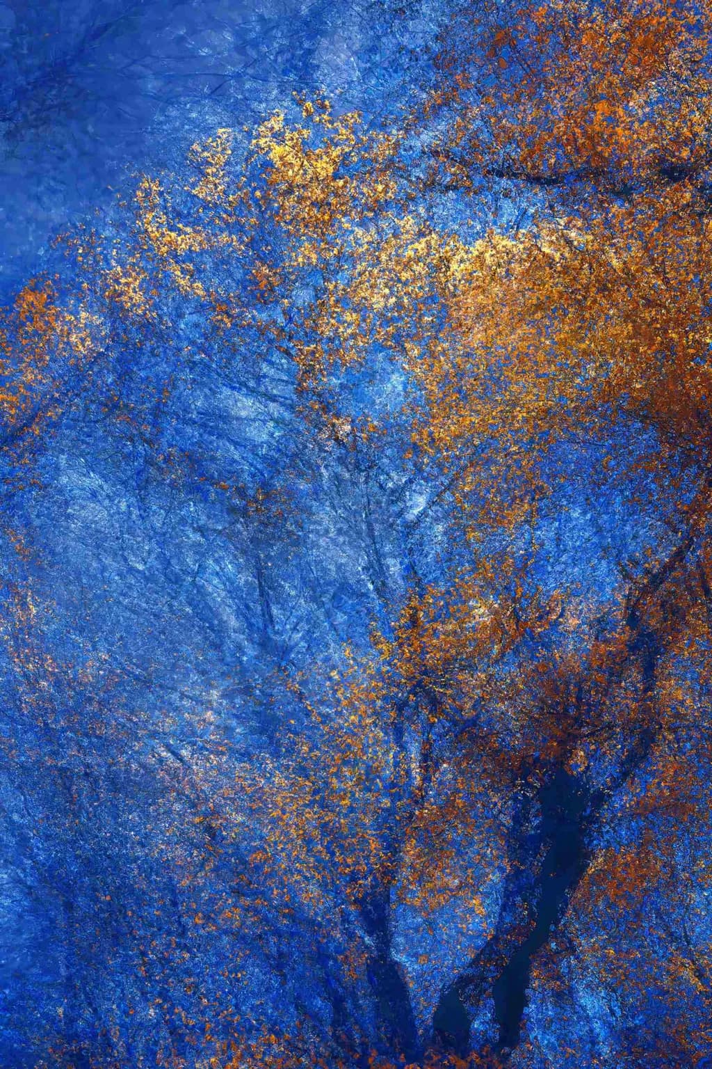 Whispers of Autumn: An Abstract Dance of Blue and Orange Textures in Nature