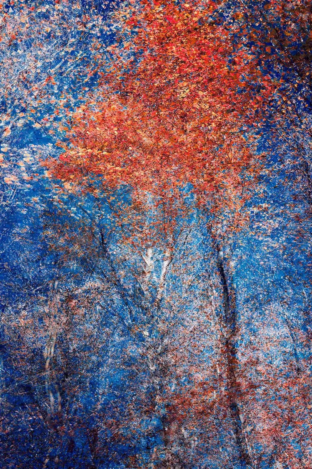 Energy of Light and Color