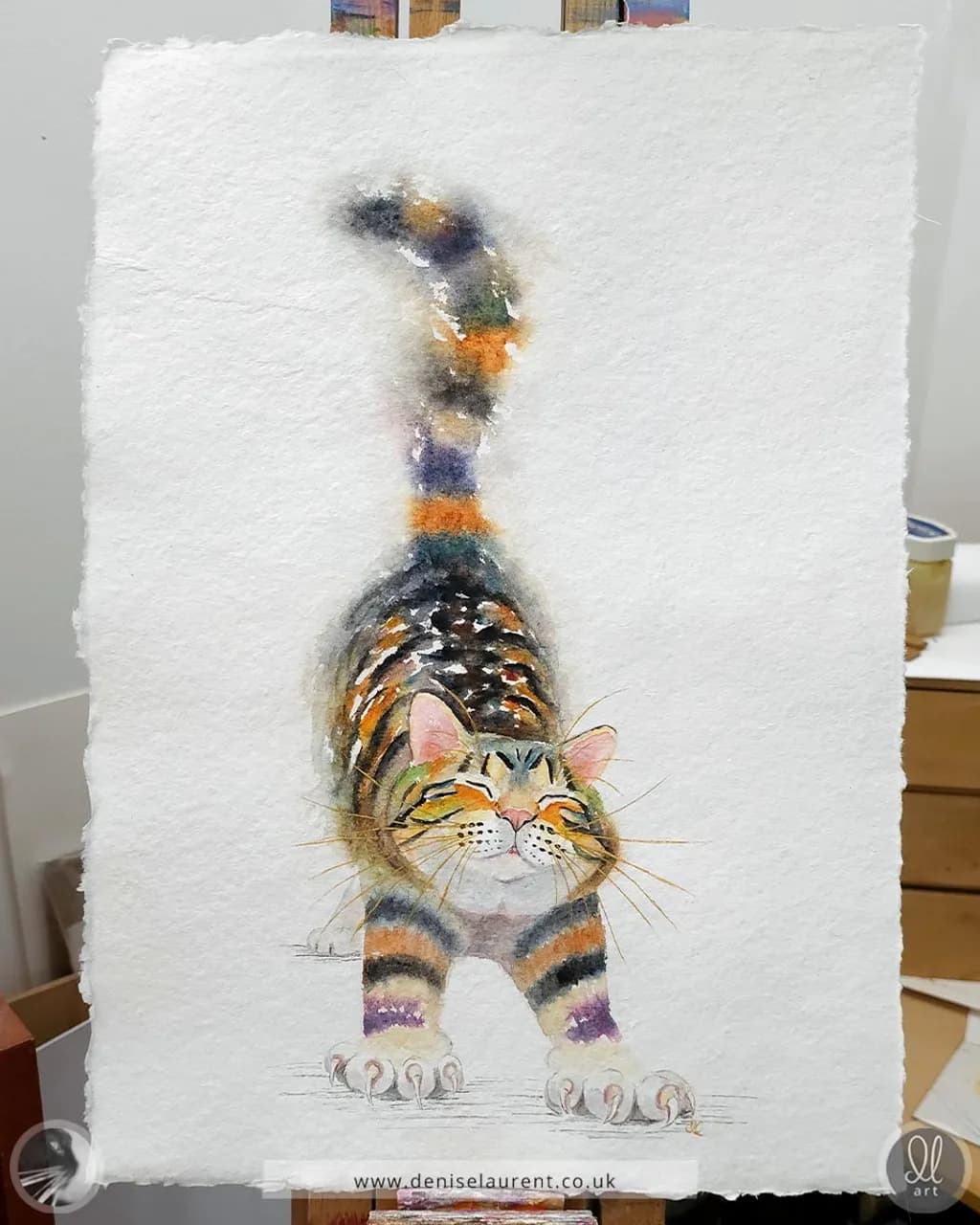Big Stretch Cat