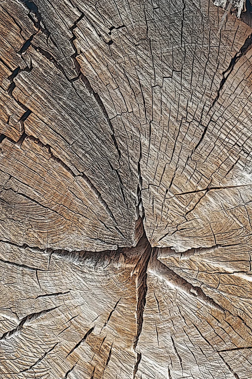 Whispers of the Forest: A Journey Through Organic Wood Textures