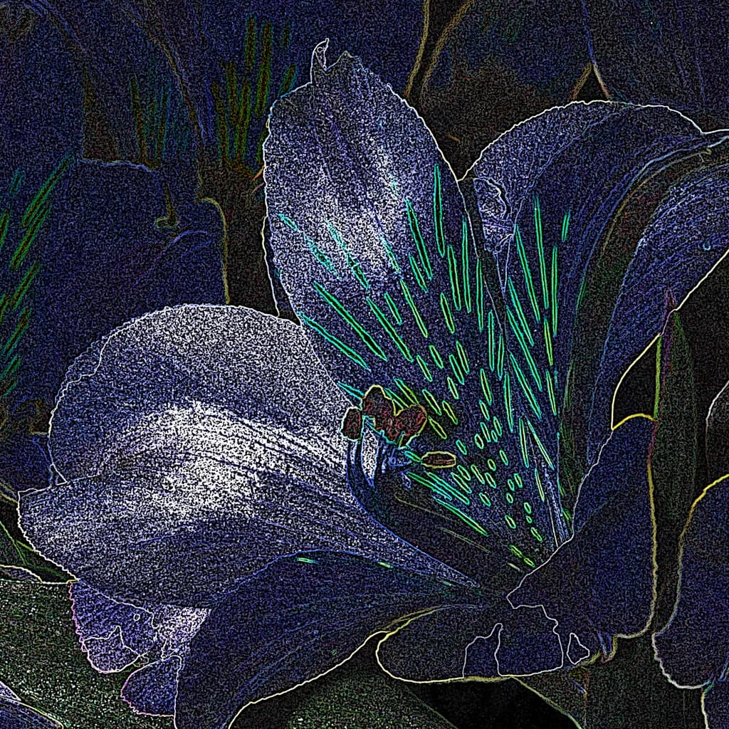 Whispers of the Night: A Vibrant Floral Dreamscape
