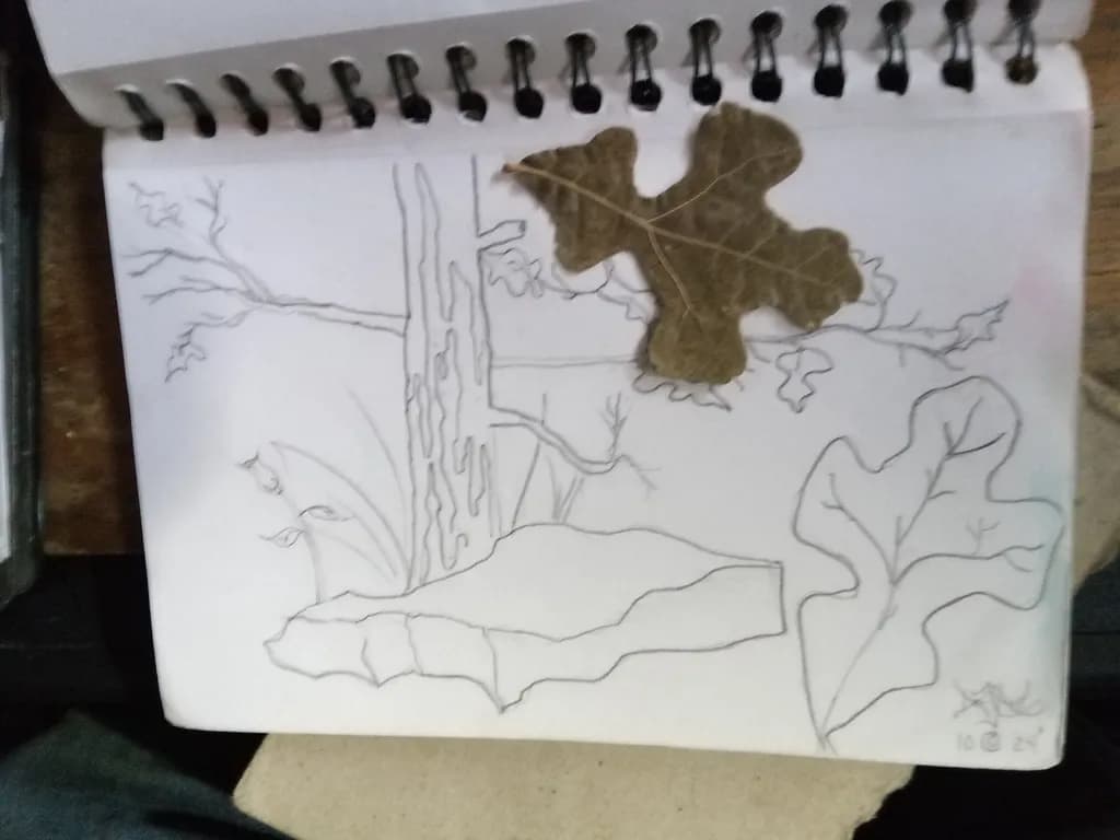 Echoes of an Oak Leaf