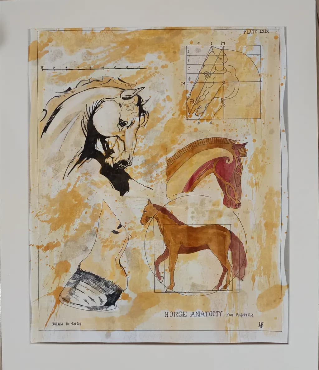 Equine Elegance: A Study of Horse Anatomy in Artistic Form