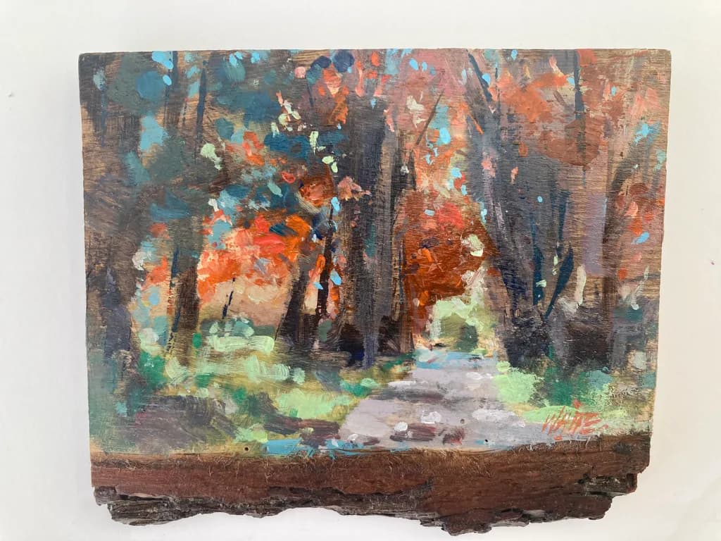 Autumn Forest Trail