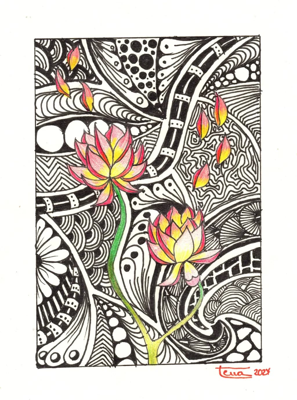 Lotus Flow