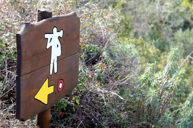 Nature's Path: A Signpost to Adventure in the Great Outdoors