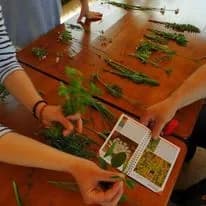 Nature's Classroom: A Hands-On Exploration of Herbs and Botany in Workshop Learning