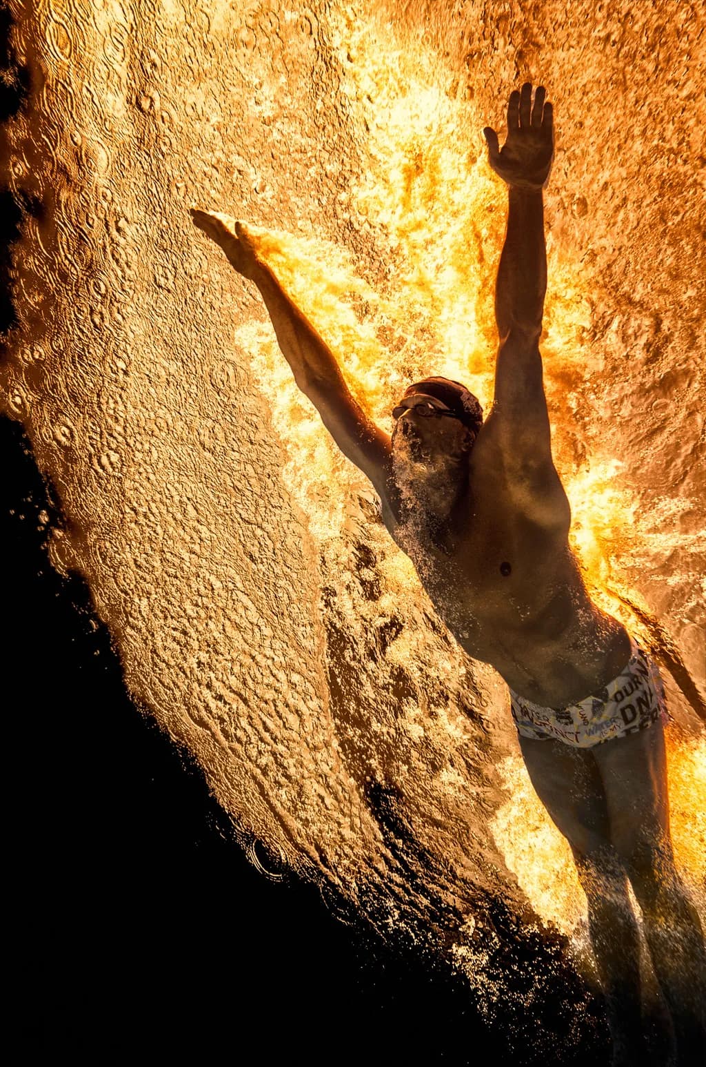 Diving into Gold: The Art of Motion and Light in Aquatic Elegance