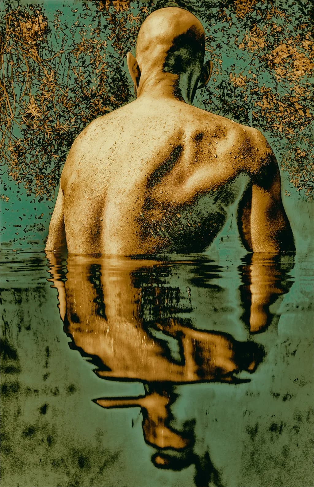 Serenity in Reflection: A Journey Through Nature's Embrace