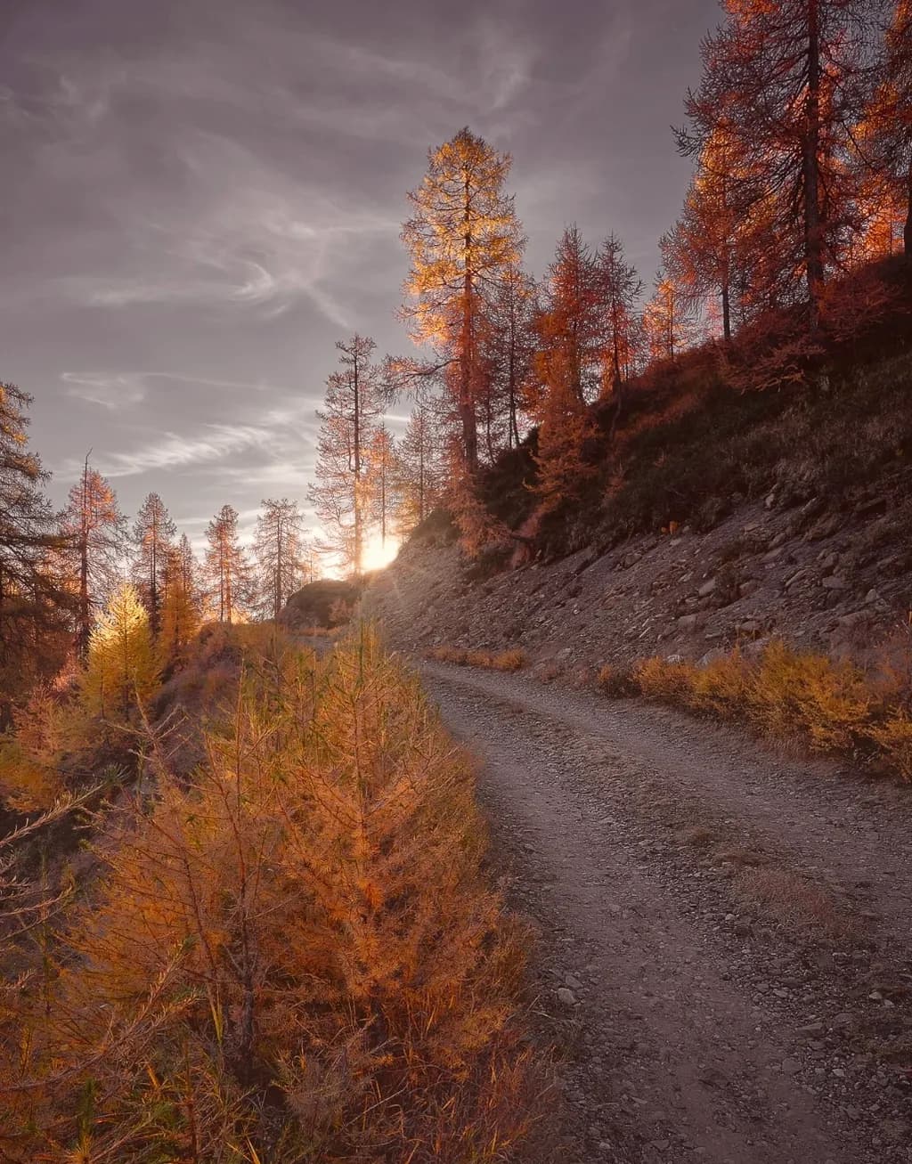 Autumn Pathway