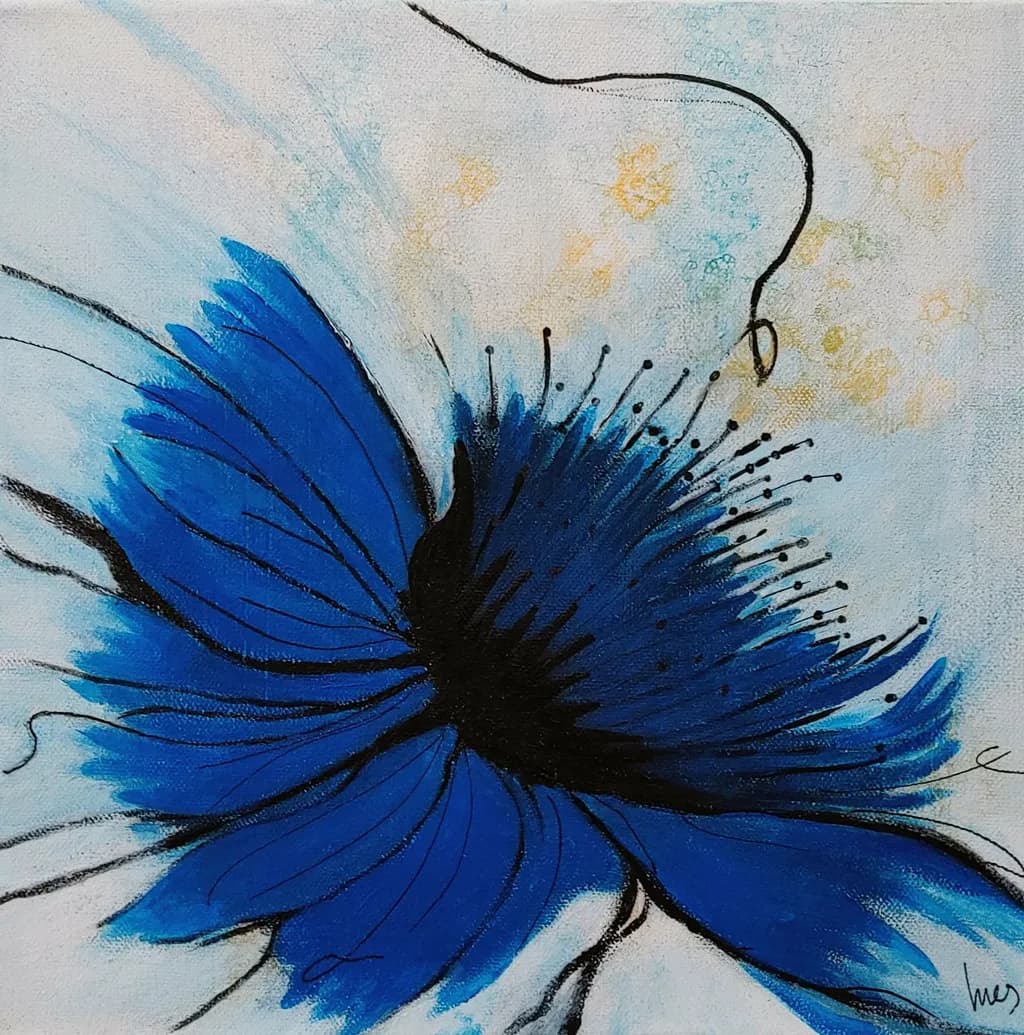 Plavica Bloom