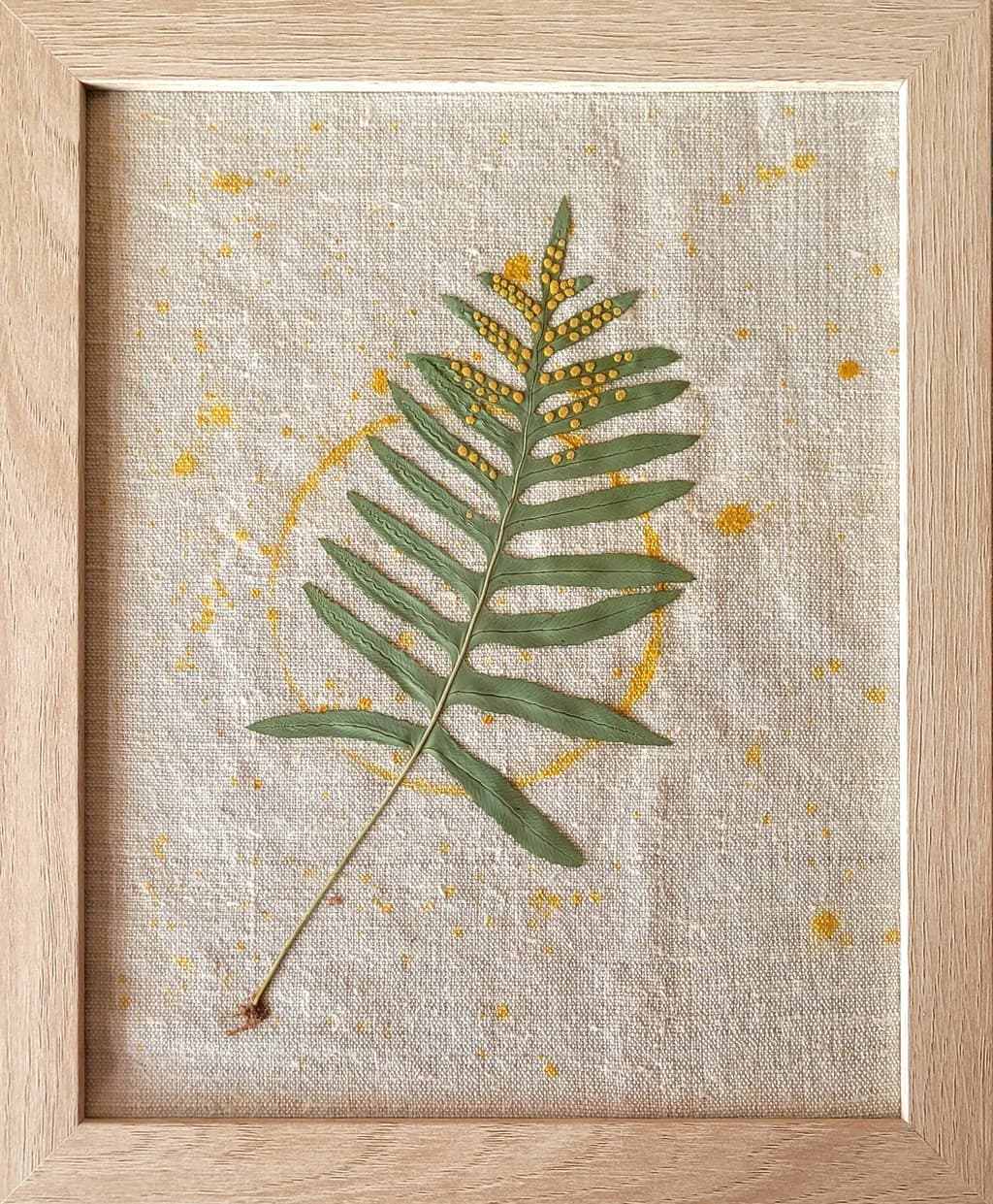 Whispers of Nature: A Framed Fern Embraced by Golden Hues