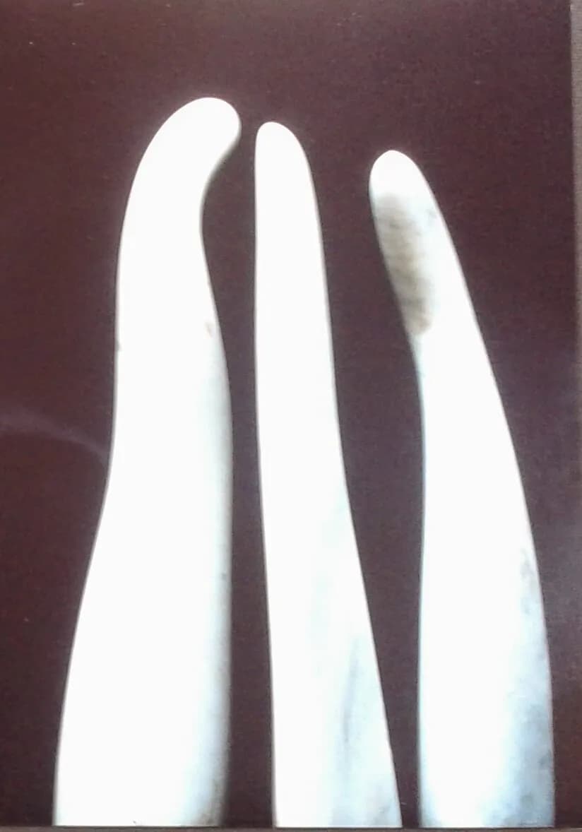 Curved White Shapes