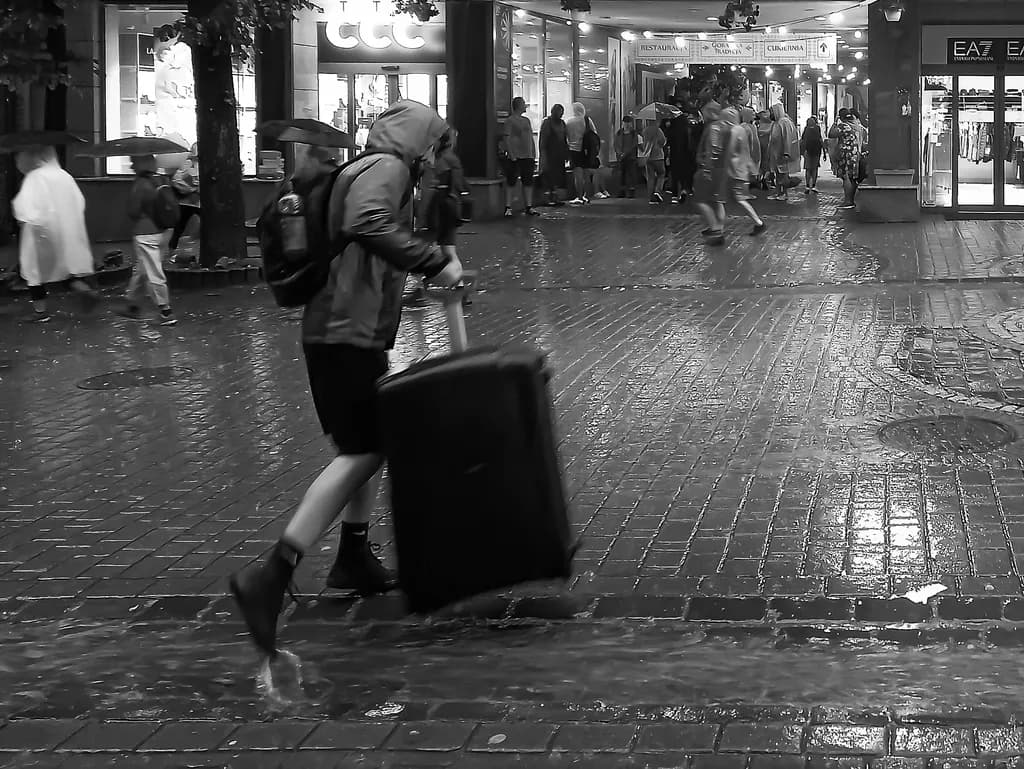 Urban Resilience
