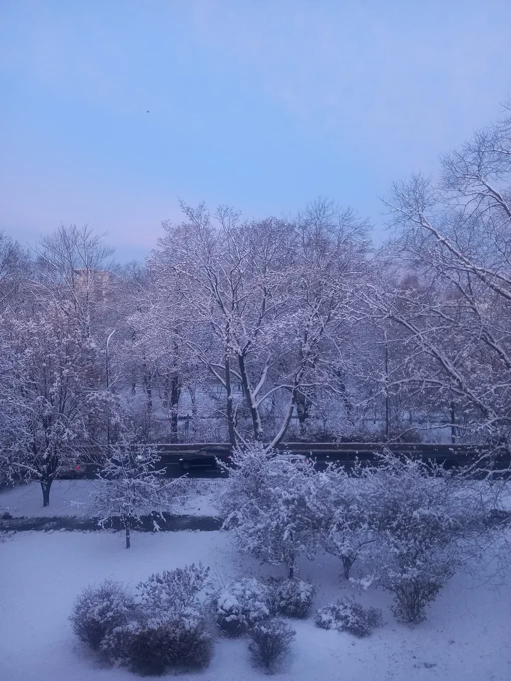 Winter's Embrace