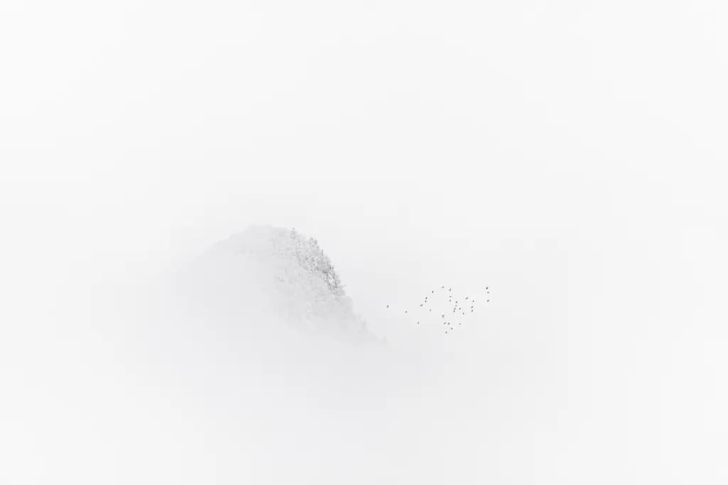 Whispers of the Mist: A Serene Landscape with Birds in Flight