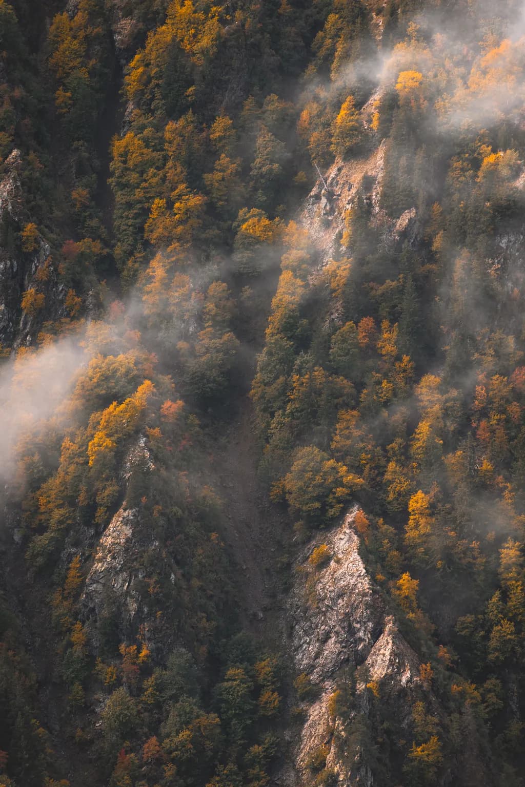 Whispers of Autumn: Misty Mountains Embraced by Golden Forests