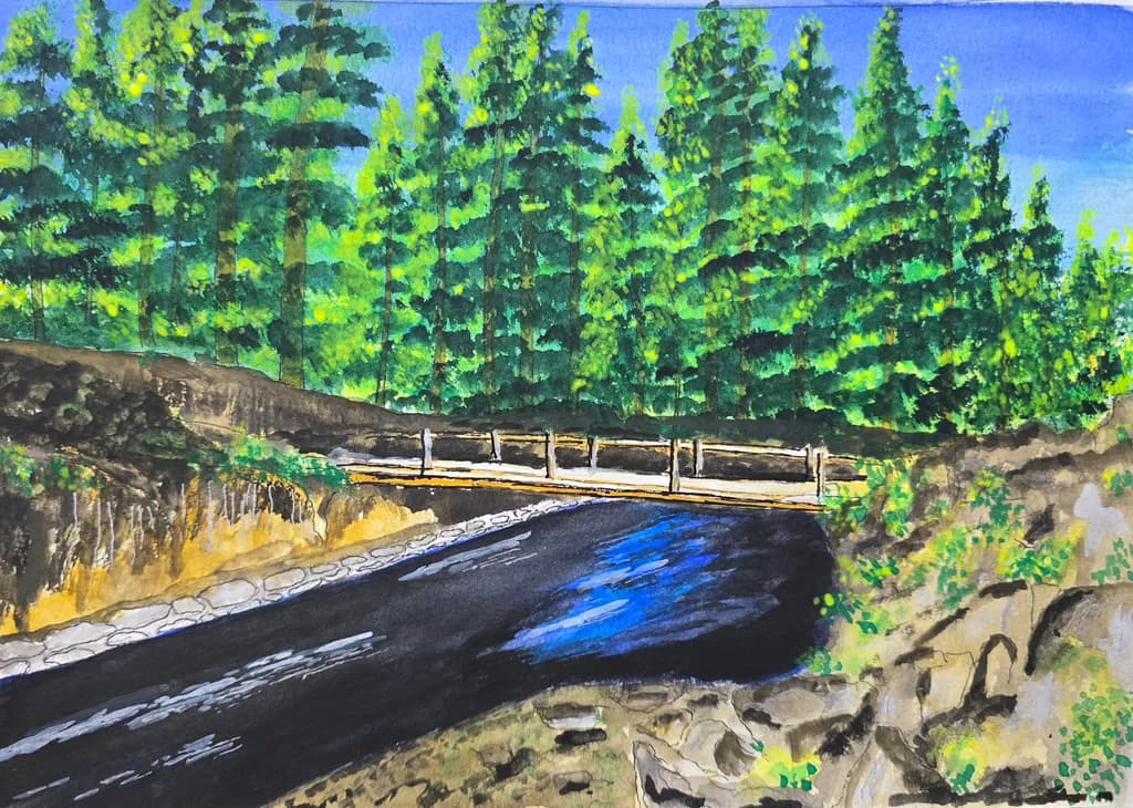 Forest Bridge