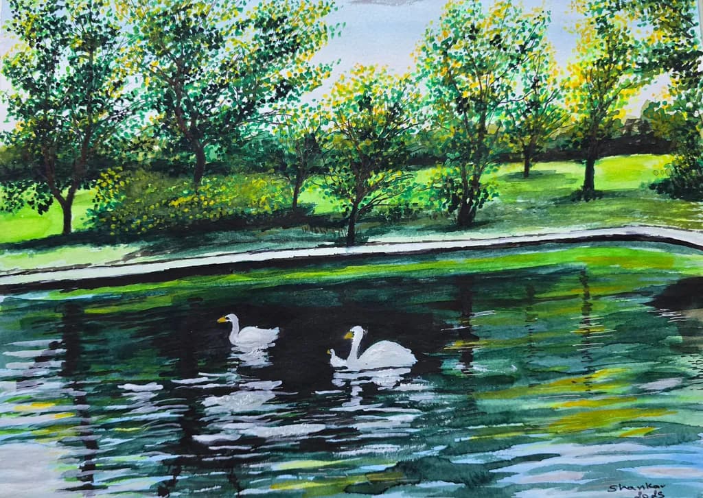 Serene Swans