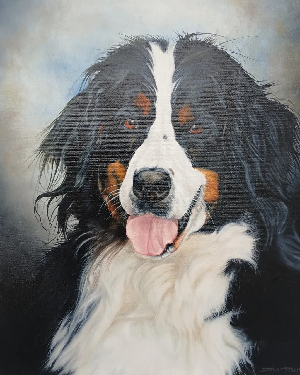 Whiskers and Warmth: A Heartfelt Portrait of a Bernese Mountain Dog