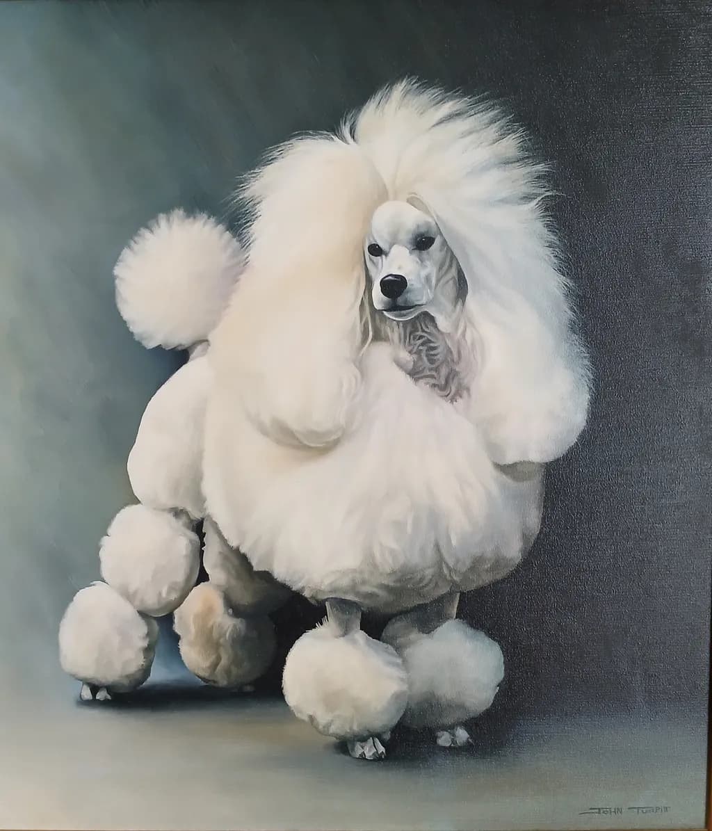 Poodle Perfection: A Whimsical Portrait of Elegance and Charm