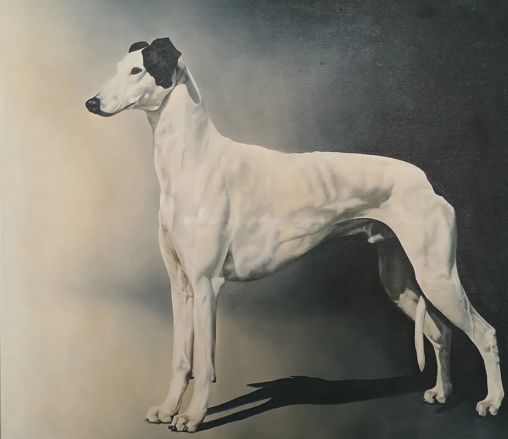 Elegant Whispers: The Graceful Stance of a Greyhound in Light and Shadow