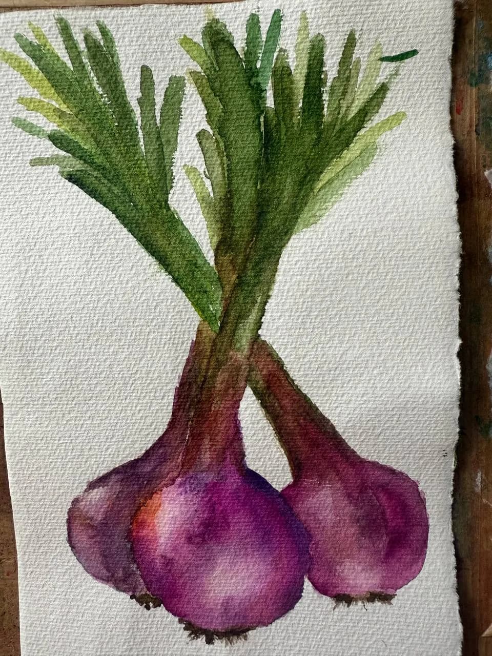 Whispers of Nature: A Watercolor Trio of Purple Onions and Green Tops