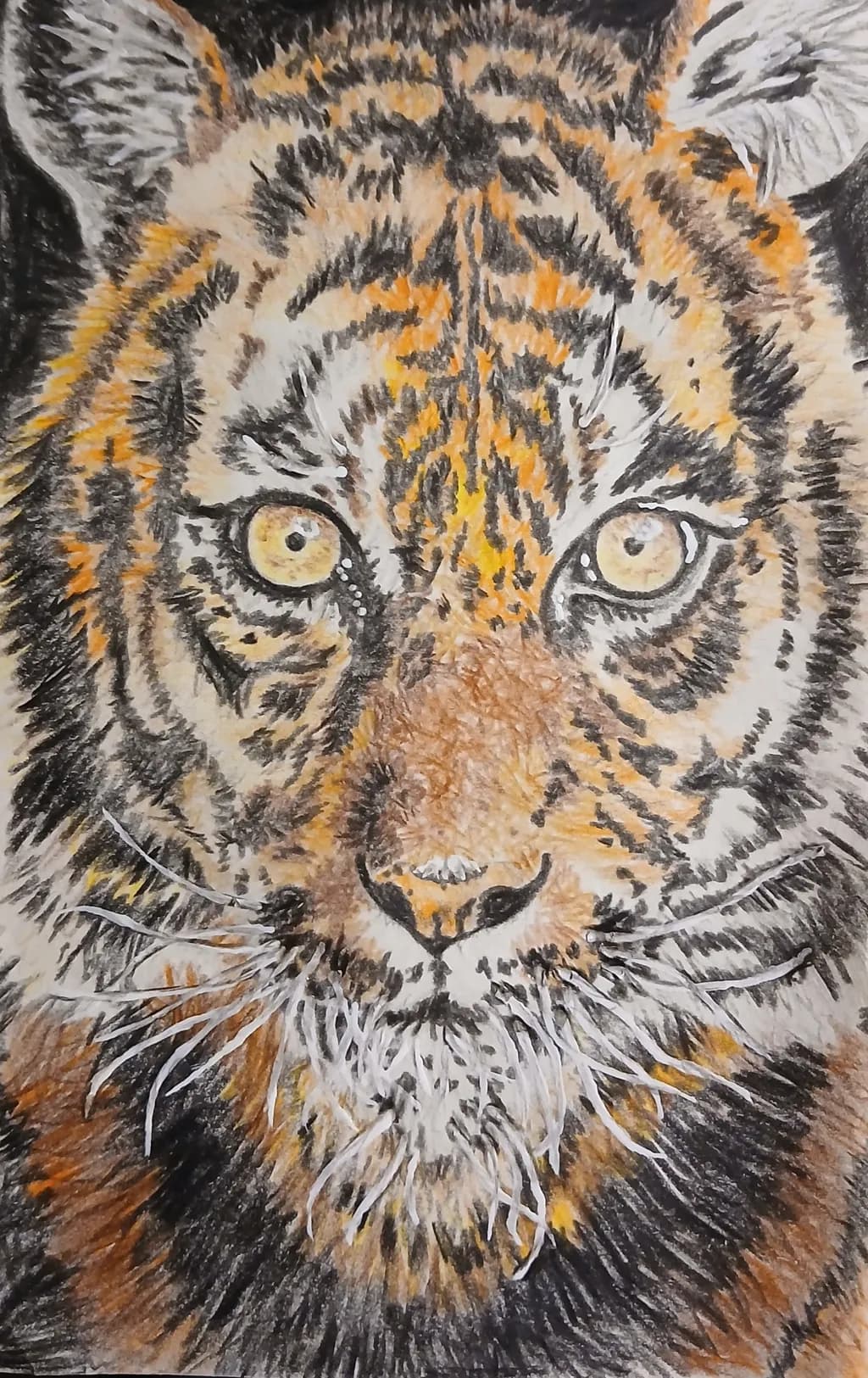 Majestic Gaze: A Colorful Portrait of a Tiger's Wild Spirit