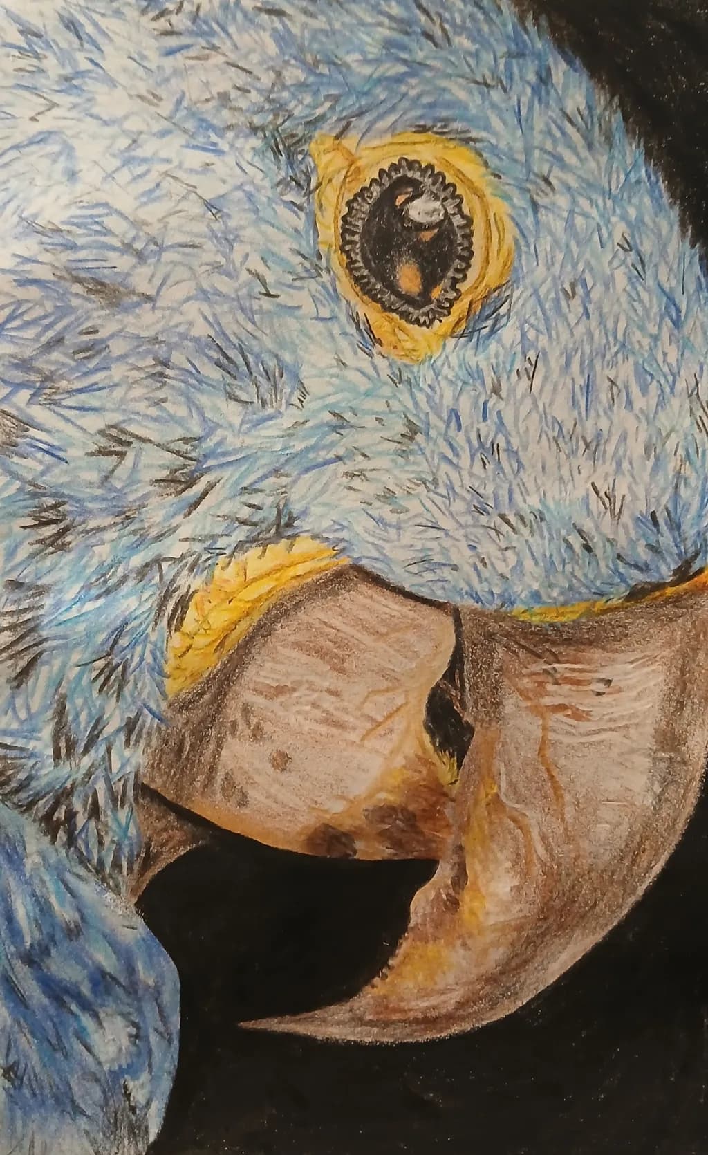 Vibrant Majesty: A Close-Up of a Blue Macaw's Enchanting Gaze